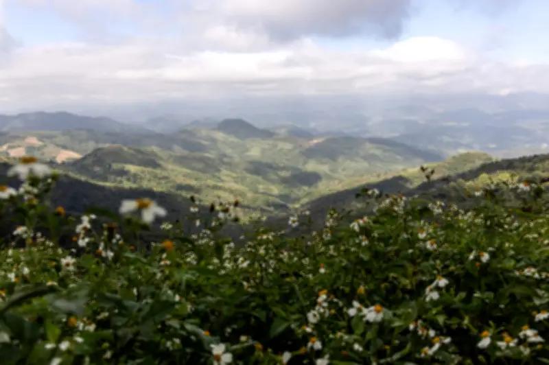 Parlimen Myanmar Bersidang Selepas 5 Tahun, Didominasi Sekutu Junta