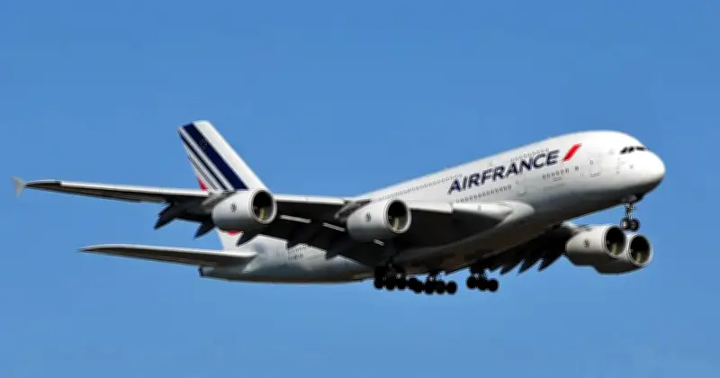 Penerbangan Air France Patah Balik Akibat Tembakan Roket di Timur Tengah