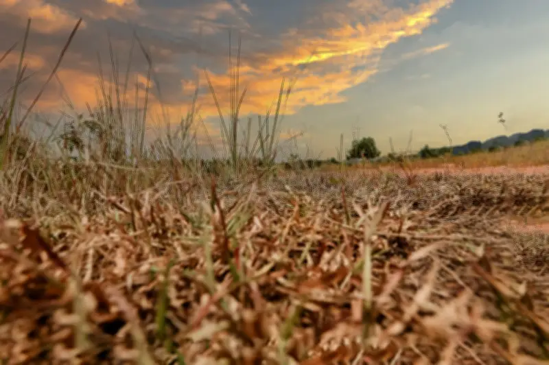 Pengisytiharan Bencana Kemarau di Tawau Ditarik Balik, Bekalan Air di Sebatik Masih Dipantau