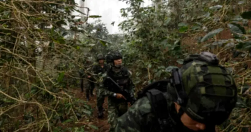 Perang Saudara Myanmar Pacu Wabak Dadah di Pergunungan Thailand