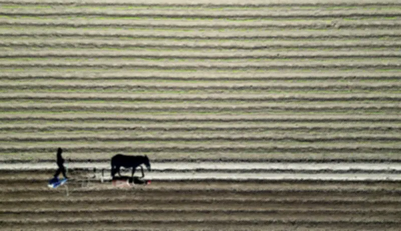 Pertaruhan Keselamatan Makanan Global: Konflik Timur Tengah Ancaman Bekalan Baja