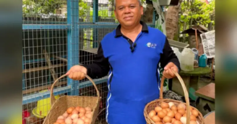 Pesara TLDM Raih RM6,000 Sebulan Ternak Ayam Penelur di Halaman Rumah