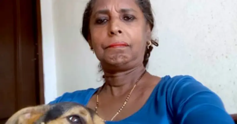 Rani Gopal Gunakan Simpanan KWSP Untuk Beri Makan Kucing Terbiar Setiap Hari