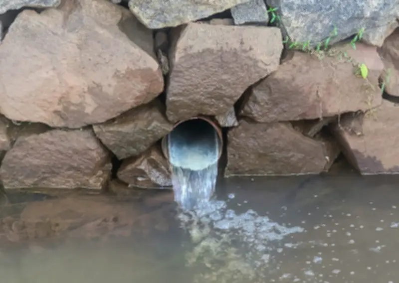 Rawatan Air Sisa Industri Tanpa Mencipta Pencemaran Baru: Pendekatan Berasaskan Bakteria