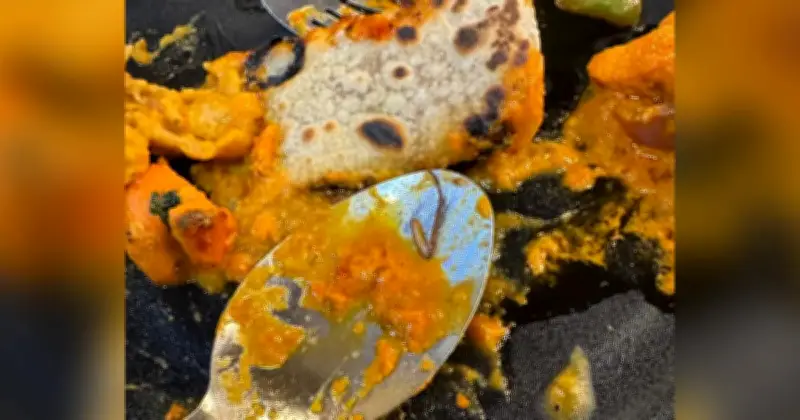 Restoran di Pulau Pinang Diberi Arahan Pembetulan Selepas Kaki Lipas Ditemui dalam Makanan