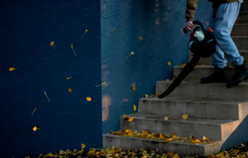 Tiada Keperluan Kajian Alam Sekitar Untuk Penggunaan Peniup Daun - Timbalan Menteri