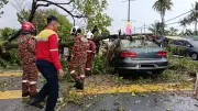 Angin Kencang Tumbangkan Pokok di Ipoh, Enam Individu Selamat Daripada Kemalangan