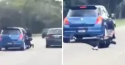 Lelaki Bergantung Pada Kereta Bergerak Dalam Video Viral Ditahan Polis Johor