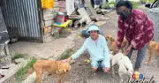 Mak Cik Janaki Perlu Bantuan Segera Selamatkan 50 Anjing Jalanan di Jinjang