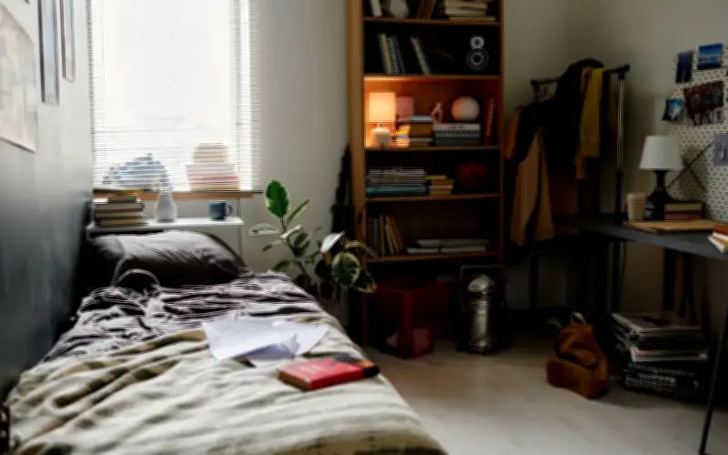 Akta Sewa Kediaman, Bukan Tapisan Kaum, Penyelesaian Masalah Tuan Rumah - NGO