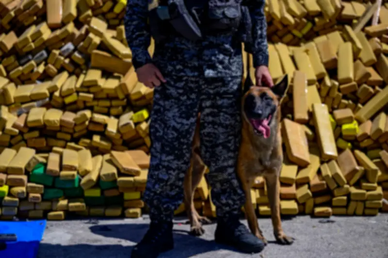 Anjing Polis 'Hulk' Pecah Rekod: 48 Tan Ganja Dirampas di Rio de Janeiro