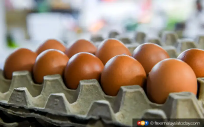 Bekalan Ayam dan Telur Mencukupi, tetapi Sayuran Kekurangan