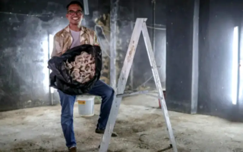 Bekas Guru Pendidikan Khas Raih RM100,000 Setahun Daripada Sarang Burung Walit