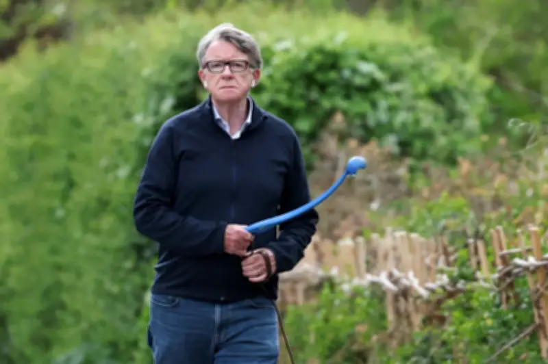 Bekas Pegawai UK Dipecat Dakwa Pejabat PM Beri 'Tekanan Berterusan' Untuk Luluskan Mandelson
