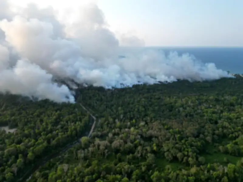 Bomba guna helikopter padam kebakaran gambut seluas 32 hektar di Dungun