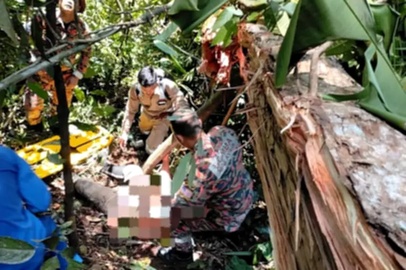 Bomba Sarawak Selamatkan Jurukur Kerajaan Tercedera Dihimpit Pokok Tumbang