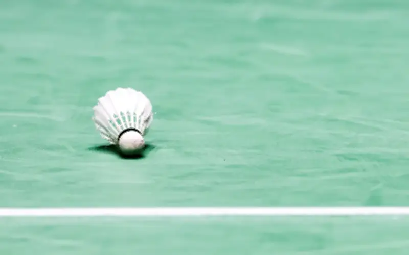 BWF Uji Coba Bulu Tangkis Sintetik Akibat Kekurangan Bulu Itik dan Angsa