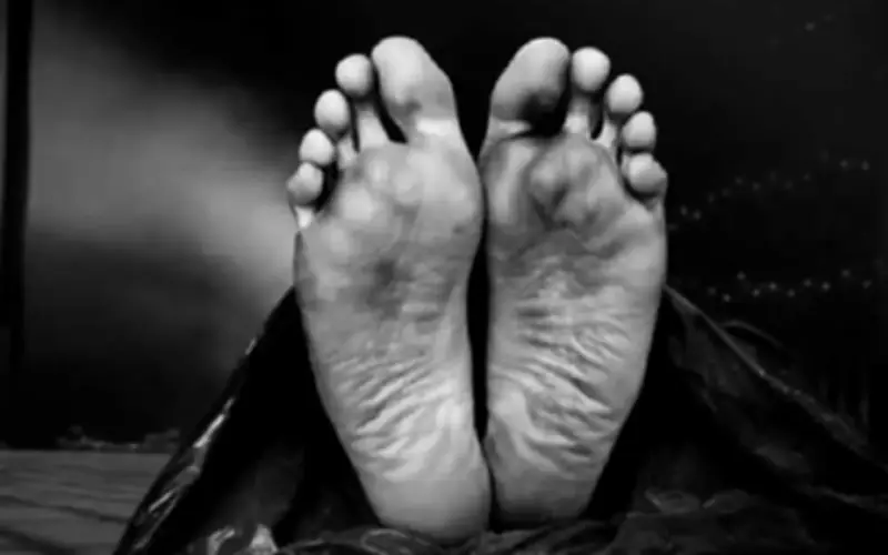 Dua Pekerja Maut, 19 Lagi Cedera Akibat Kebocoran Gas Toksik di Kilang Virginia Barat