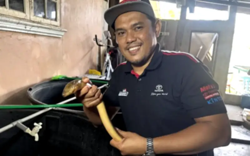 Dua Rakan di Kelantan Raih Kejayaan dengan Ladang Belut yang Mampan