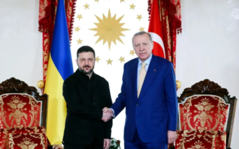 Erdogan dan Zelensky Bincang Keselamatan Tenaga dan Usaha Keamanan di Istanbul