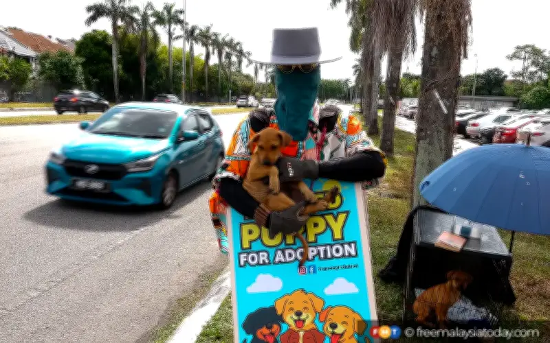 Francis Poh Dedikasikan Hujung Minggu untuk Selamatkan Anak Anjing Terbiar di Klang