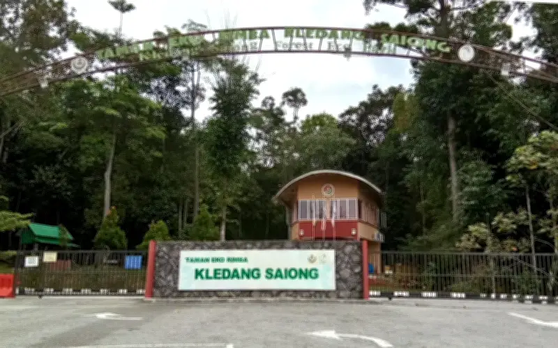 Gabungan NGO gesa Perak batal projek ladang hutan di Kledang Saiong