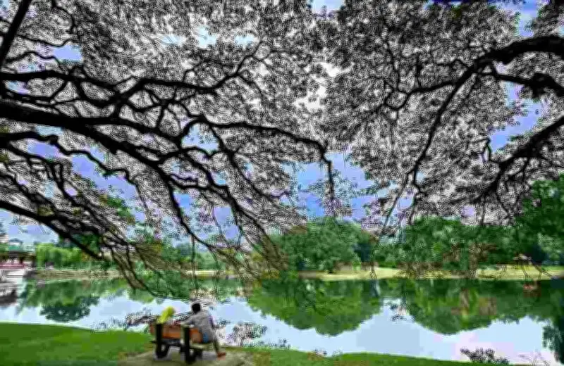 Gadis 8 Tahun Maut di Taiping, Ibu Bapa dan Ibu Bapa Tiri Didakwa Bunuh