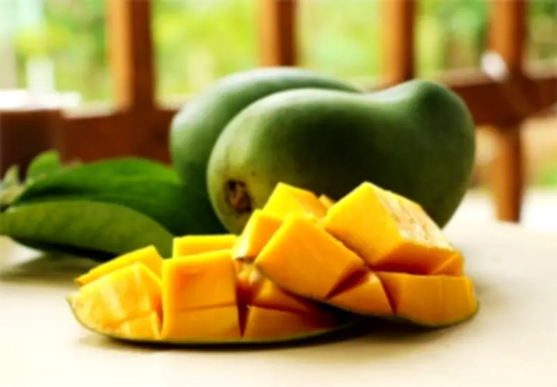 Harumanis Perlis: 'Raja Mangga' Musim Singkat Yang Dinanti-nantikan