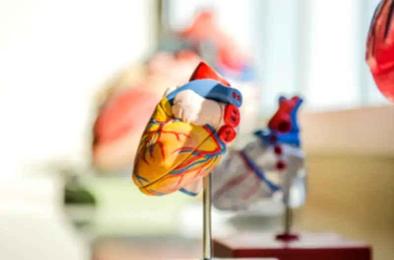Kadar derma organ Selangor menurun walaupun kesedaran tinggi