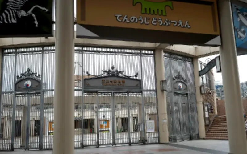 Kebajikan 3 Gajah Taiping di Zoo Jepun Terjamin Menurut Exco Perak