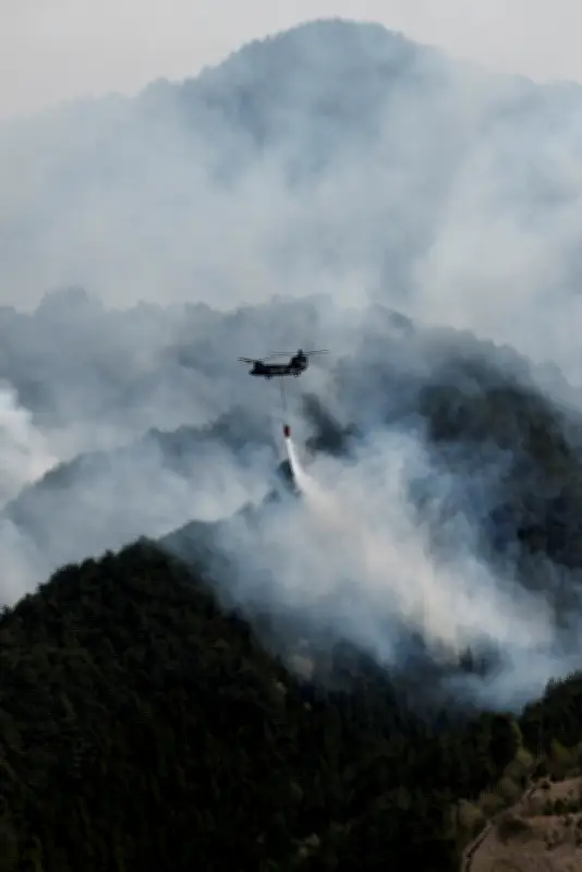 Kebakaran hutan di Jepun hari kelima, 1,400 anggota bomba dikerahkan