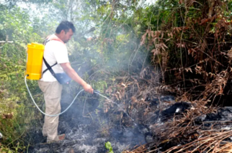 Kebakaran musnah projek cili fertigasi, petani rugi RM300,000
