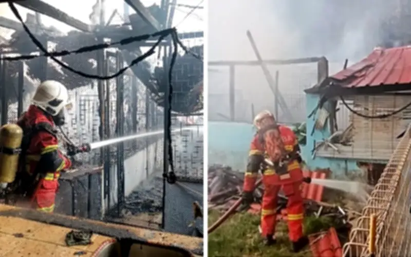 Kebakaran musnah pusat perlindungan haiwan Simpang Pulai, 10 kucing mati