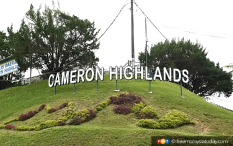Kerajaan Pahang Wujudkan Hab Borong Sayur di Cameron Highlands