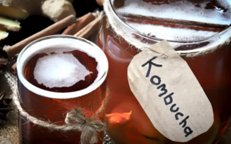 Kombucha Kian Digemari Rakyat Malaysia Dalam Pencarian Minuman Lebih Sihat