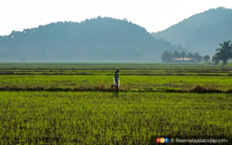 KPKM Rangka Langkah Tangani Risiko Krisis Tenaga Global Terhadap Sektor Pertanian