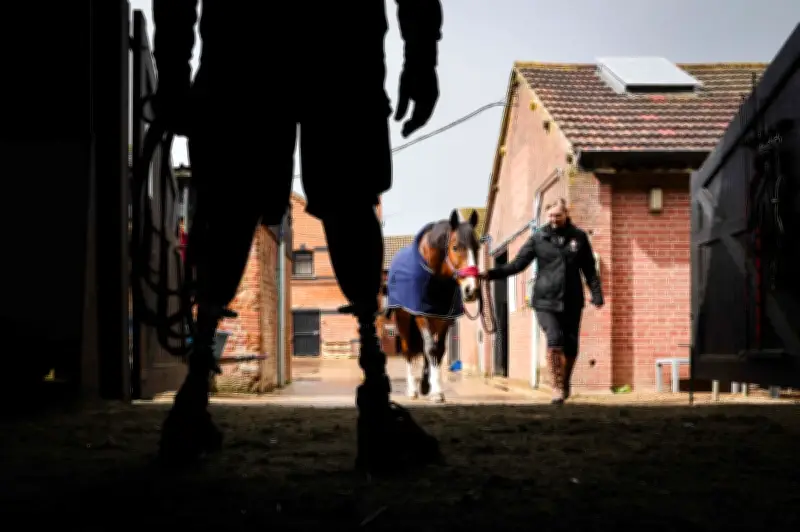 Kuda bantu veteran tentera Britain pulih daripada trauma dan PTSD