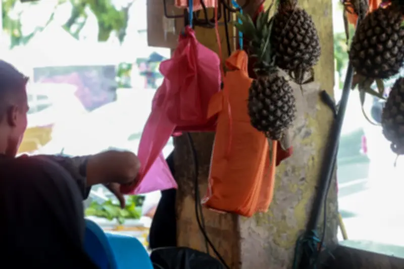 Larangan Plastik Sekali Guna Pulau Pinang Berjalan Seperti Dirancang