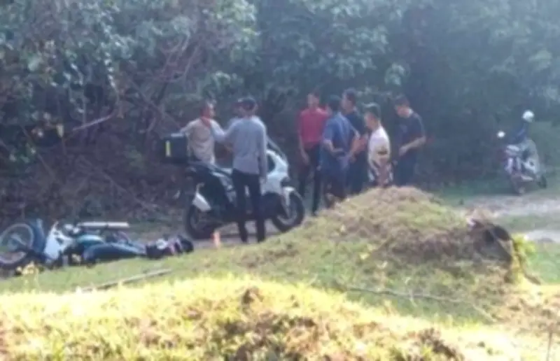 Lelaki Cedera Ditembak di Dagu dalam Pertembungan Curi Lembu di Kelantan