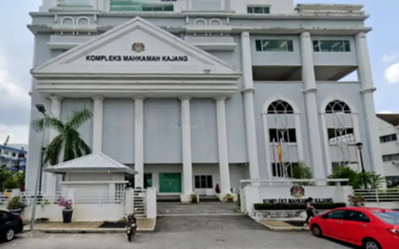 Lelaki Dihukum Penjara 6 Bulan Kerana Membaling Anak Kucing ke Dinding