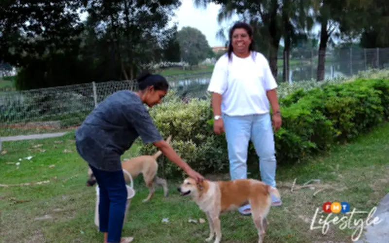 Malam Demi Malam, Tiga Sahabat Ini Berbakti Untuk Haiwan Terbiar Di Lembah Klang
