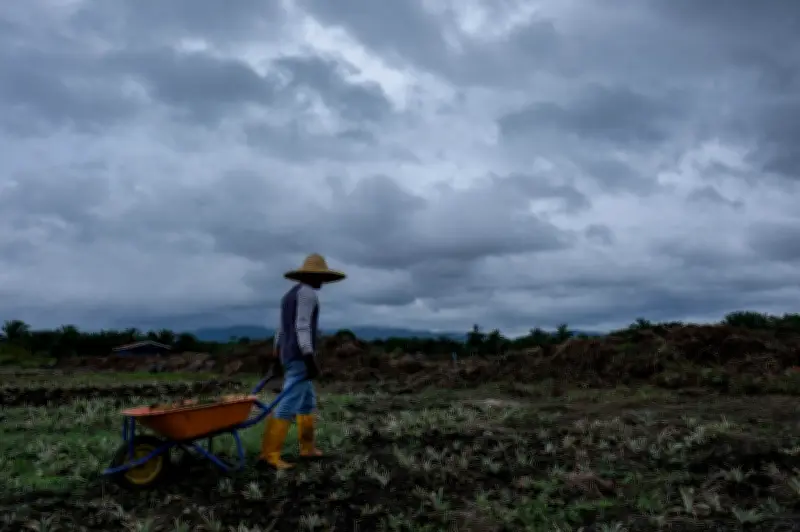MetMalaysia Keluarkan Amaran Ribut Petir, Hujan Lebat dan Angin Kuat di Lima Negeri