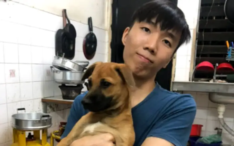 Misi Malam Chin Tin Wei: Beri Makan Anjing Terbiar, Bina Sangkar Untuk Penyelamat