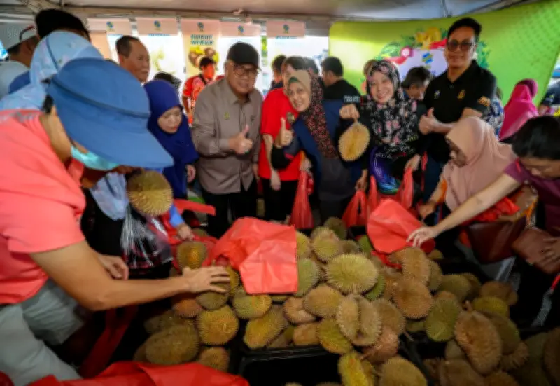 Musim Durian Penang Lebih Awal, Tekstur Lebih Berkrim Akibat Cuaca Kering
