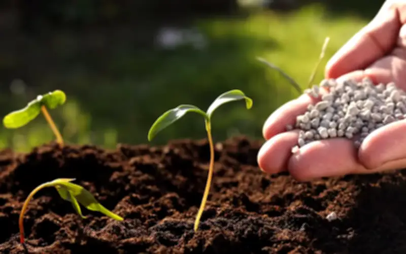 Nafas Jamin Kesan Kenaikan Harga Baja Diminimumkan, Bekalan Stabil untuk Pesawah