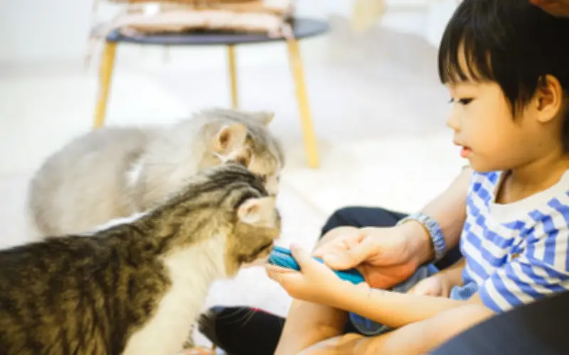 Pakar Gesa Didikan, Bukan Hukuman, Untuk Kanak-Kanak Aniaya Haiwan