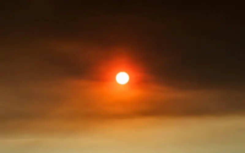 Panas melampau ancam sistem makanan global, amaran agensi PBB