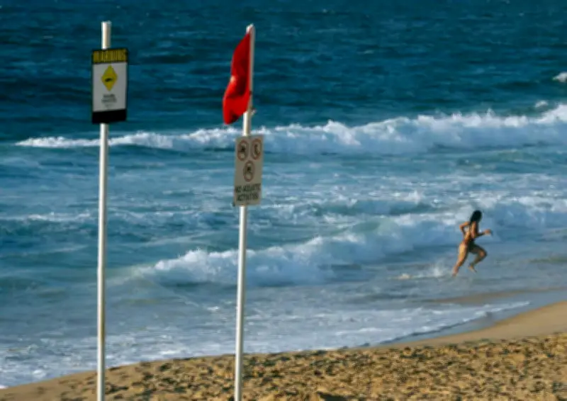 Pantai Sydney ditutup selepas bangkai paus tarik jerung putih dan lembu