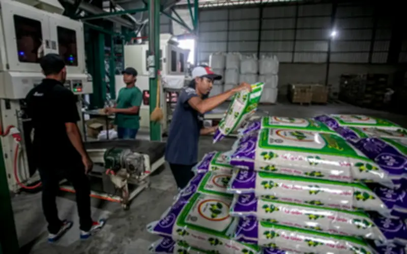 Pemborong Beras Diingatkan Ambil Stok Segera, Audit Dilakukan Atas Dakwaan Penyorokan