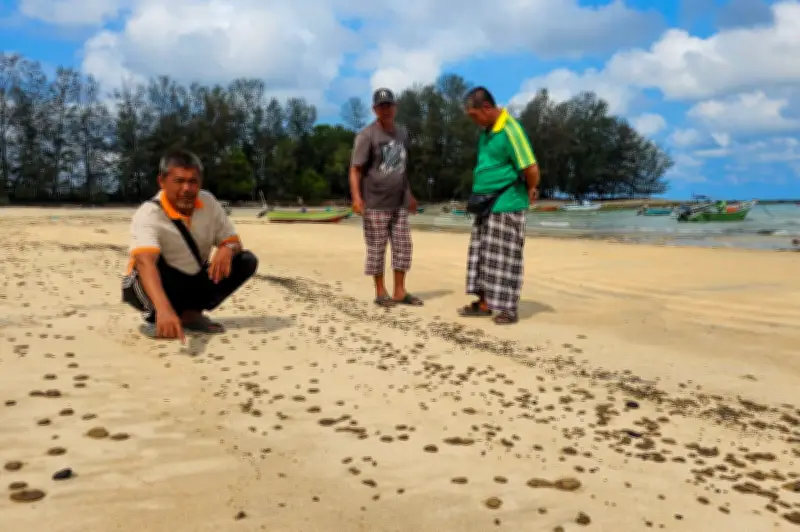 Pencemaran Minyak di Pantai Teluk Kalong Chukai, DOE Siasat Kemungkinan Sisa Kapal